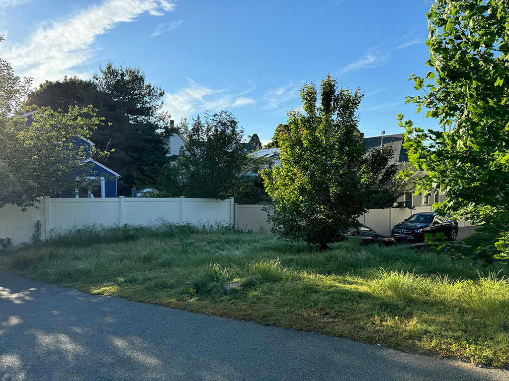 An empty yard full of tall grass and weeds. It generally looks overgrown.