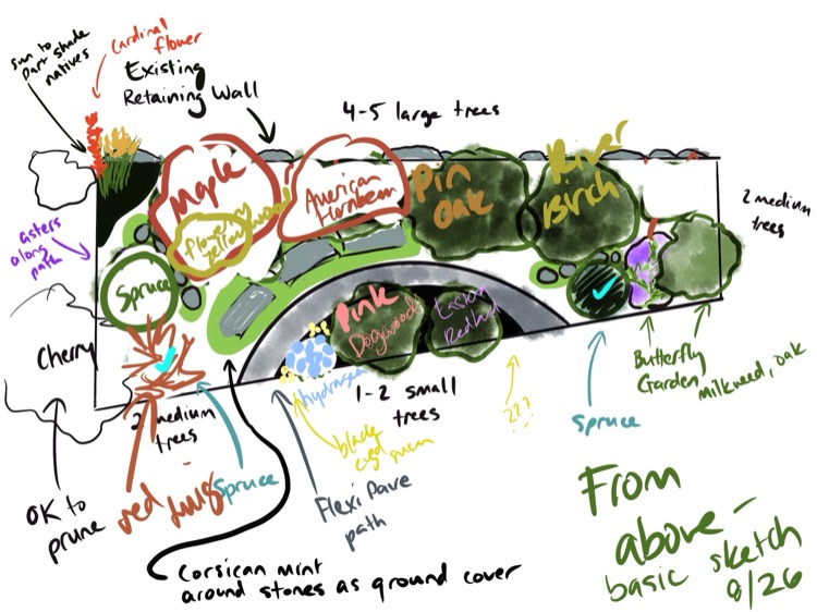 Hand-drawn overhead sketch of the pocket forest plan showing tree placements, path, and planting zones with handwritten plant labels