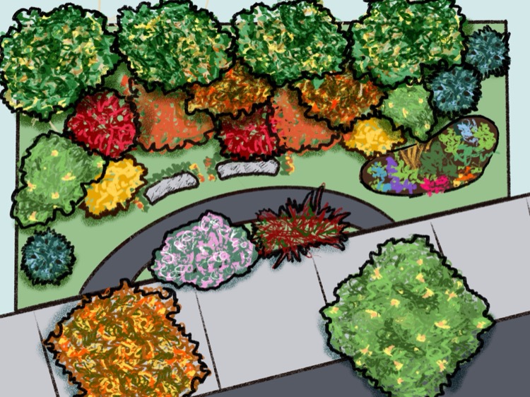 Final overhead design illustration of the completed pocket forest plan showing the curved path, layered plantings, and full tree canopy
